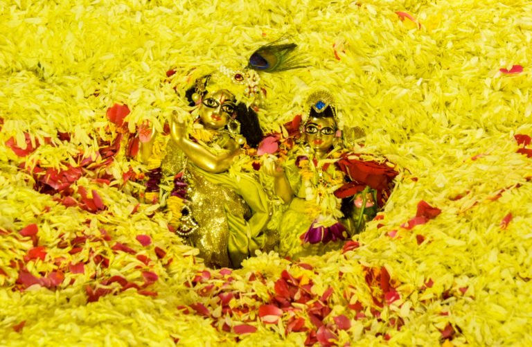 Pushpa Abhiṣekam on this Vasanta-pañcamī – Grab the opportunity of Seva for Yellow Deity dress and Flowers